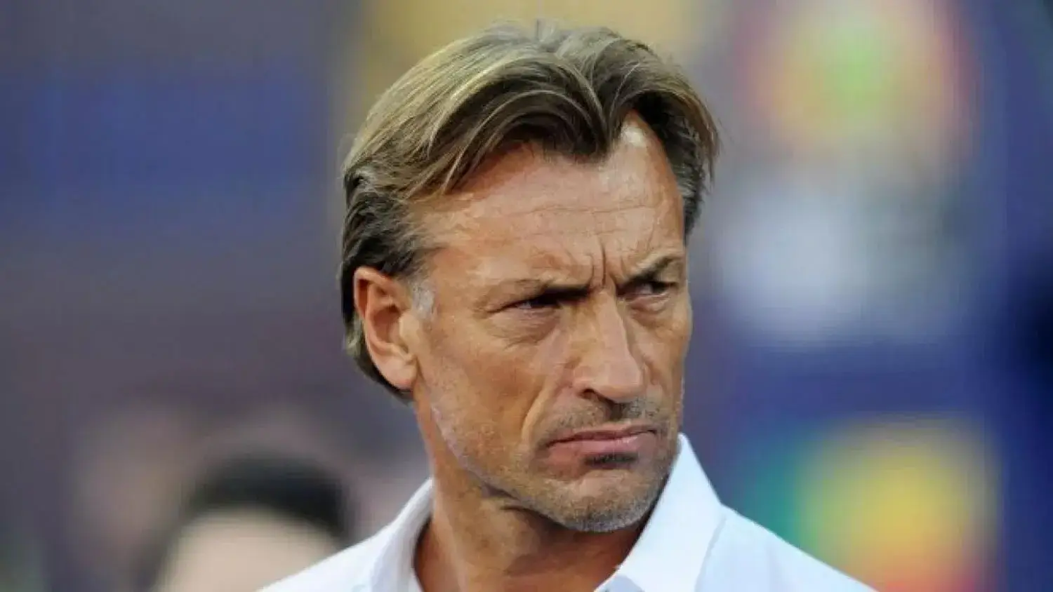 Super Eagles coach: NFFdenies contacting Renard