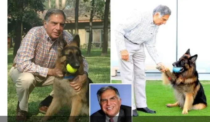 86 YEARS- OLD BILLIONAIRE WILLS €91M FOR HIS DOG, OVERLOOKS HIS BROTHER AND SISTER