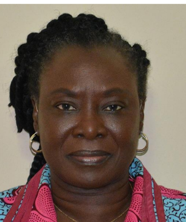 Dr. Bolajoko Olusanya: African pride’s success against all odds
